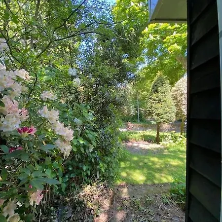 别墅 Bij Bos En Centrum 卑尔根