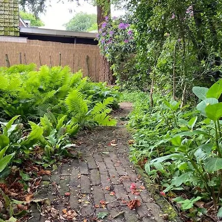 Bij Bos En Centrum * 卑尔根