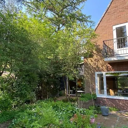 Bij Bos En Centrum *