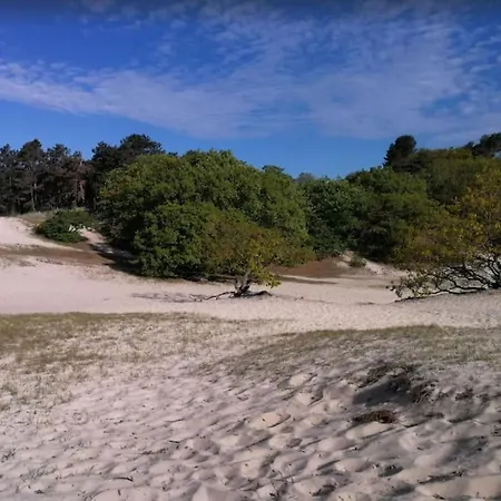 Bij Bos En Centrum *