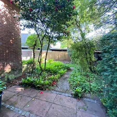 Bij Bos En Centrum * 卑尔根