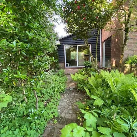 Bij Bos En Centrum 别墅 *