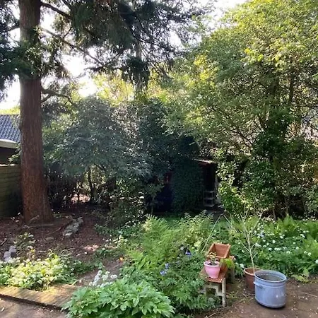 Bij Bos En Centrum * 卑尔根