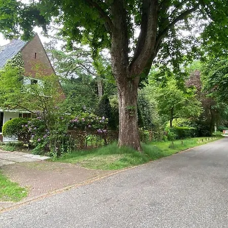 Bij Bos En Centrum * 卑尔根