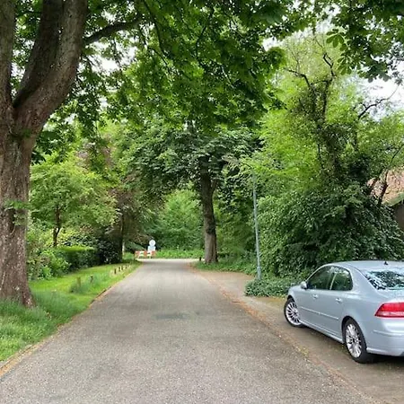 Bij Bos En Centrum
